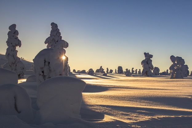 En perfekt vinterdag