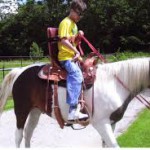Hjelpemidler riding av hest 